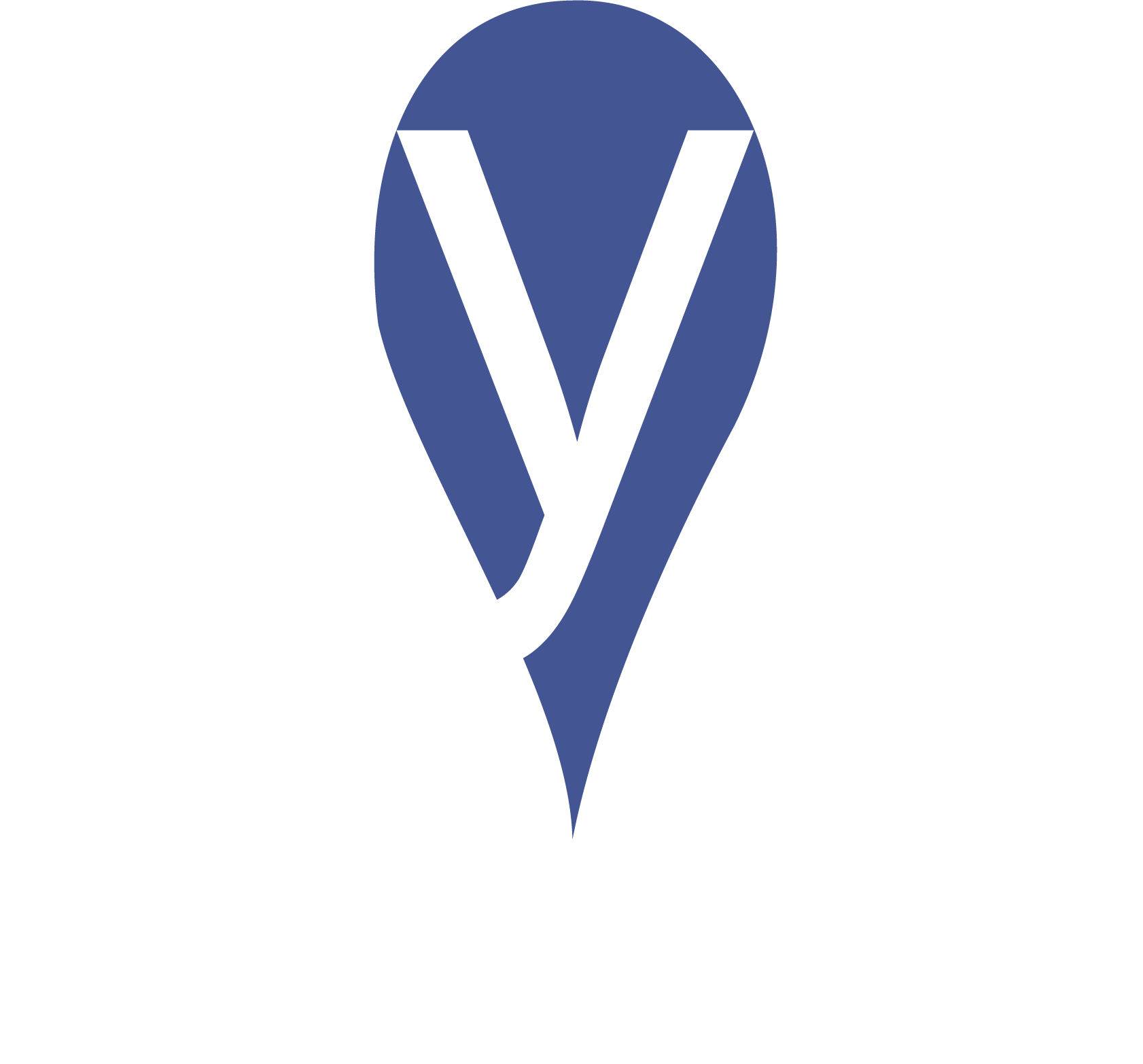 Logo Aya Dosadores